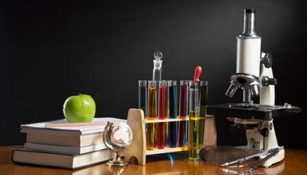 corsi di laurea area scientifica