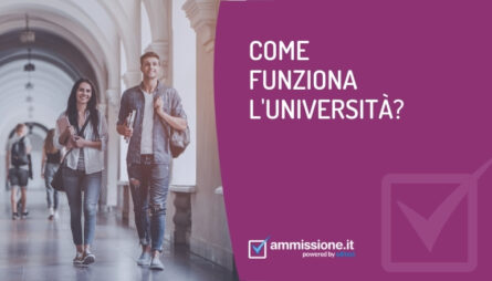 come funziona l'università