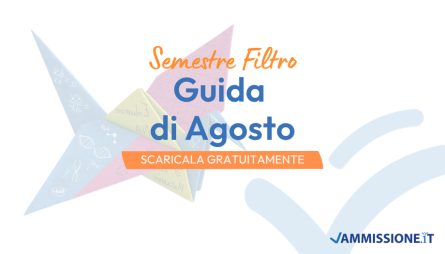 Guida Semestre Filtro